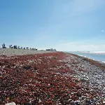 Exclusives Auf Fehmarn Appartement *