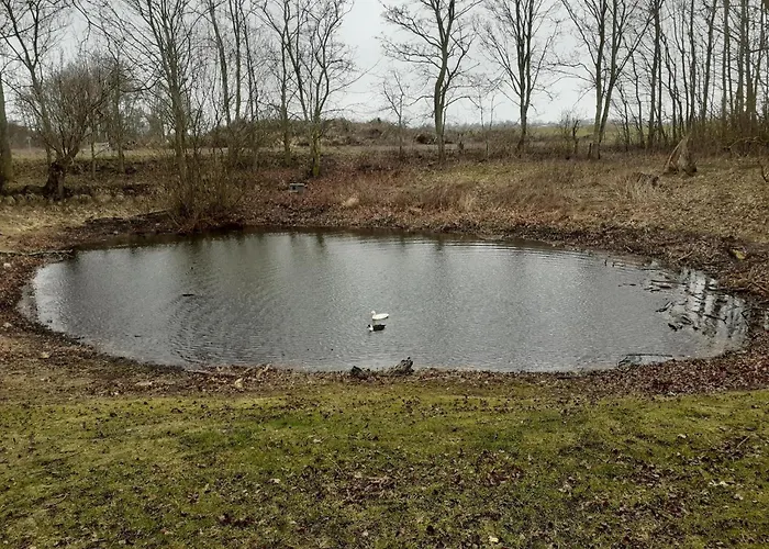 Exclusives Auf Fehmarn 公寓